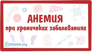 Анемия при хронических заболеваниях — причины, симптомы, патогенез, диагностика, лечение