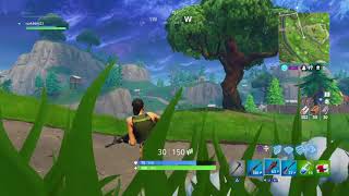 Fortnite solo