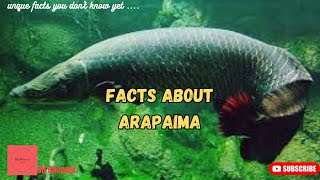 8 Interesting Facts About Arapaima, Unique facts you don't know yet…