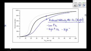 Factors that Influence Hemoglobin Saturation