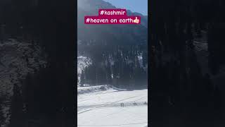 Riding Horses Through the Heaven of Earth: Kashmir