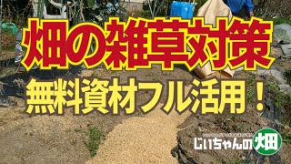 家庭菜園の雑草対策。酢や熱湯や塩を使わないでひと月で雑草を消す簡単な方法があります。1/22