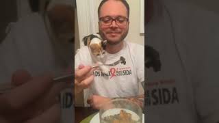 The kitten won't let its dad eat his dinner