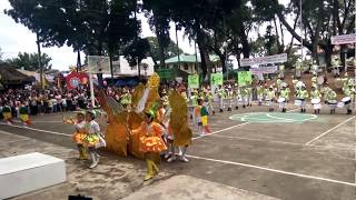 Drum and Lyre Competition 2017 - RCIS (CHAMPION)