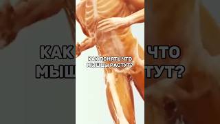 КАК ПОНЯТЬ ЧТО МЫШЦЫ РАСТУТ?