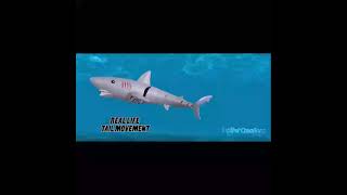 RC Roboshark