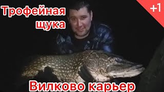 Щука 4.5 кг!!!! Ловля щуки на балабайки Вилково Карьер 1 февраля 2020