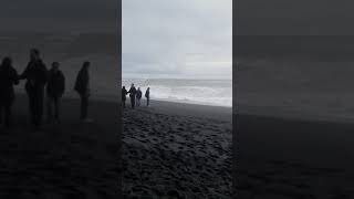 Iceland Black Sand Beach 2