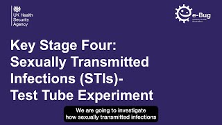 KS4 Sexually Transmitted Infections - Test Tube Experiment