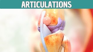 La meilleure VITAMINE pour les articulations