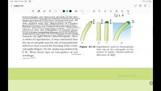 plant growth regulators