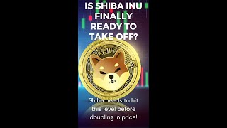 Influencers Are Lying To You About SHIBA INU! #shorts