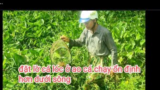 Thăm lờ, đem lờ về giặt chuẩn bị đặt điểm mới #fishtrap