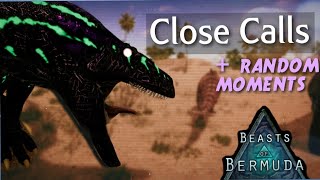 Close Calls/ Random Moments #1 | Titania | Beasts Of Bermuda