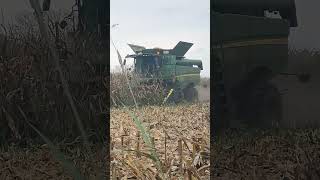 FARM LIFE #farmtrucks #agriculturalmachinery #harvesting #harvest #cornfield #agriculture #farming