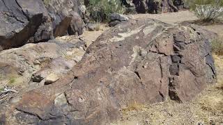 ANCIENT GIANT TREES THAT TURNED TO STONE - SAWTOOTH CANYON CAMPGROUND, NEW JACK CITY, CALIFORNIA