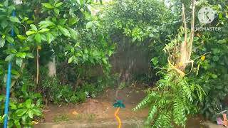 Garden Sprinklers for Home Use