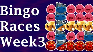 Bingo week 3 Highlights