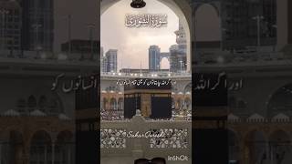 Surah Ash Shura Ayat 8-9-10 Urdu Translation #shorts #shortsviral #surahshura #urdutarjumaquran