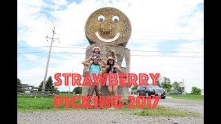 STRAWBERRY PICKING FAMILY FUN