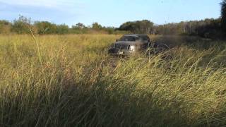 2011 F-150 FX4 5.0 Mudding