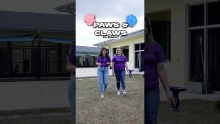 Paws & Claws Adopt-A-Thon December 8th 1-3pm at the Lake County Animal Shelter. #adoptdontshop