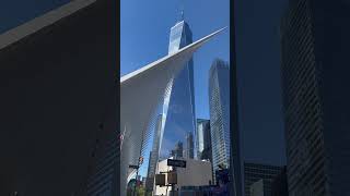 World Trade Center | Downtown NYC #subscribe #shorts #newyork #citylife #worldtradecenter #nyc