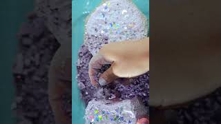 purple crush #relax #asmr #oddlysatisfying