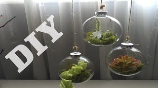 Dollar tree DIY Tear drop terrarium