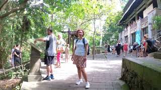 Парк обезьян в Убуде, Monkey Forest Padangtegal Ubud, Индонезия, Бали, Убуд 2024 часть 4