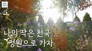 가을 저녁 정원이 너무 아름답습니다/가을꽃 구경하기