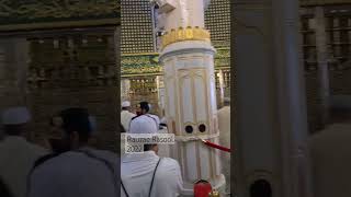 #shortvideo #religion #travel #Madinah #masjid #masjidnabawi #rauza #mosque #shortsfeed