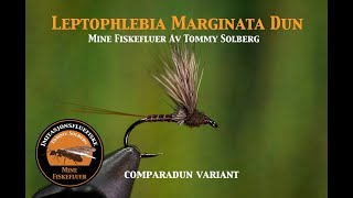 Leptophlebia Marginata Dun. En Comparadun variant. Mine fiskefluer og imitasjonsfluefiske.