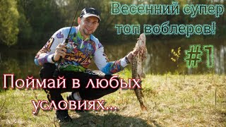 ВЕСЕННИЙ СУПЕР ТОП ВОБЛЕРОВ | SPRO FISHING | KOSADAKA HOST