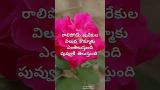 అందం విలువ #quotes #youtubeshorts