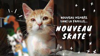 Un nouveau skate familial 🐾 (ft. SOUVENIRS DE MAEL)