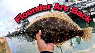 Flounder Are Back | Flounder Fishing Galveston