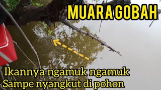 Muara Gobah || Di Kira Strike kakap putih, ternyata belanak  ( langsung masak di tempat)