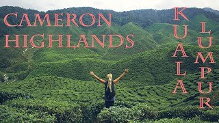 MALAYSIAN adventures 2 | CAMERON HIGHLANDS & KUALA LUMPUR