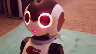 Robi robot initial startup and working tutorial