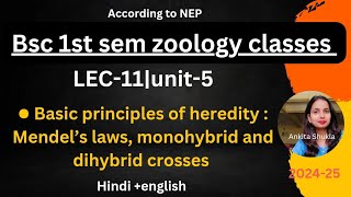 Bsc 1st sem zoology class|lec-11|unit -5|Basic principles of heredity, Mendels law|Hindi+English