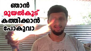 ഞാൻ എന്റെ മുയൽക്കൂട് കത്തിക്കാൻ പോകുവാ🔥|Burning Rabbit Cage|Muyal valarthan|CJ Farms|Rabbit Farm