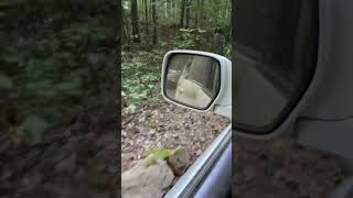 Downhill off-roading while towing a dead Land Cruiser after a rollover