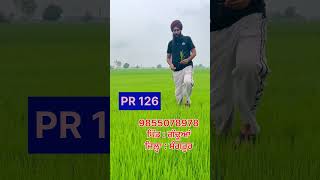 PR126 #shorts #youtubeshorts #youtube #pr126 #nyarapunjab