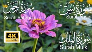 Surah Yaseen ❤️ Surah Rahman ❤️ Surah Mulk ❤️ Heart touching voice