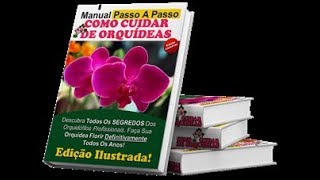 Como cuidar de orquideas em casa passo a passo