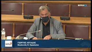 Επιτροπή Οικονομικών Υποθέσεων (31-10-2022) Γιώργος Λογιάδης