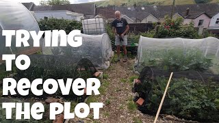 Trying to recover the plot | Allotments For Fun and Food