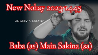 Baba (as) Main Sakina (sa) || New Nohay 2023-1445 || Farhan Ali Waris || @ALI ABBAS ALLStatus Lyrics