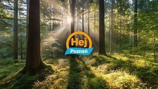 HEJ POZNAŃ | 2.09.24